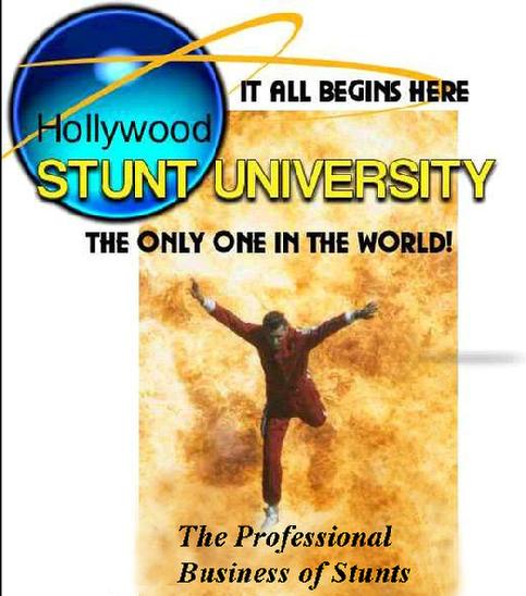 Stunt Schools